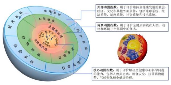 健康指数指的是什么_http://www.jzs.cc_分享_第1张