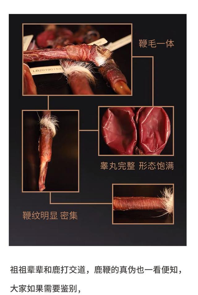 鲜鹿的鞭怎么吃最好_http://www.jzs.cc_交流_第1张