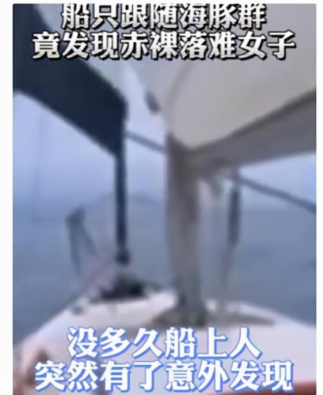 海豚救助落水人_http://www.jzs.cc_交流_第1张