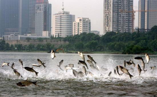 地震来临前的征兆科普_http://www.jzs.cc_生活_第1张