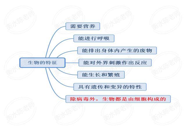 七上生物每章知识点思维导图_http://www.jzs.cc_生活_第1张