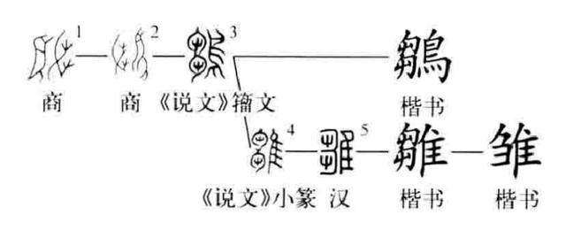 含有隹字旁的字短尾巴的鸟有哪些_http://www.jzs.cc_发现_第1张