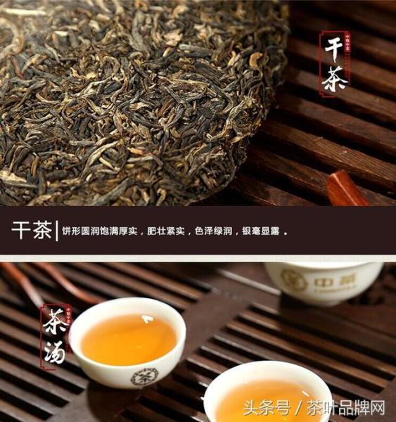 普洱茶算是黑茶吗为什么_http://www.jzs.cc_交流_第1张