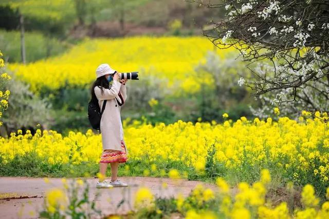 春天去过哪里旅游最好_http://www.jzs.cc_交流_第1张