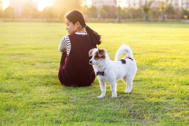 公认最适合家里养的小型犬_http://www.jzs.cc_交流_第1张