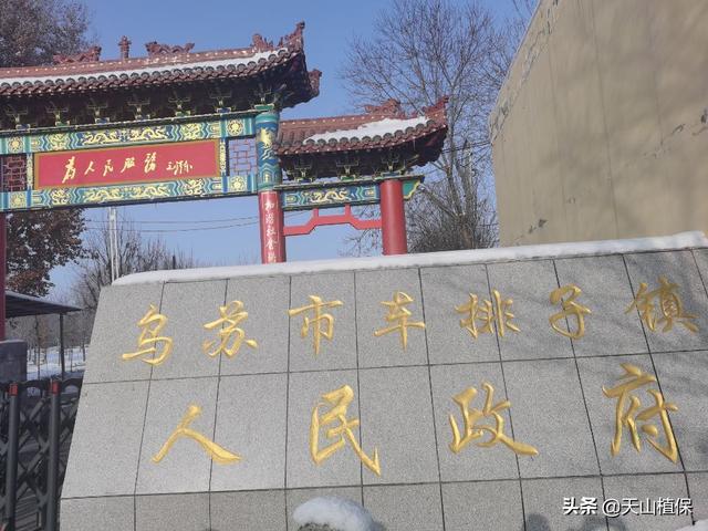 王庆坨地名由来_http://www.jzs.cc_记录_第1张