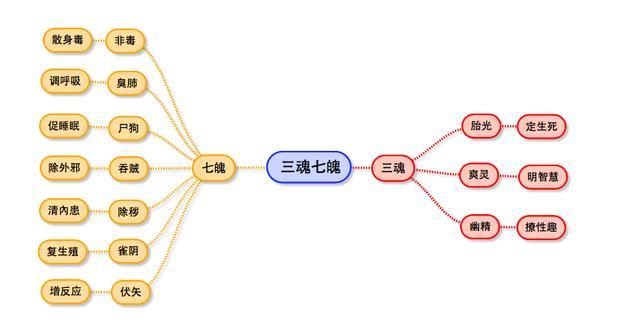 灵魂摆渡十个细思极恐的故事_http://www.jzs.cc_笔记_第1张