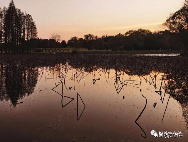 留着残荷听雨声什么意思_http://www.jzs.cc_笔记_第1张