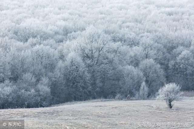 沁园春雪英文翻译版_http://www.jzs.cc_笔记_第1张